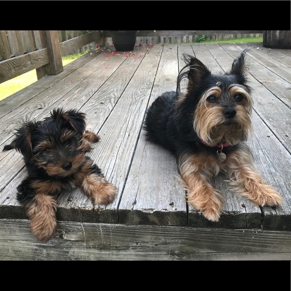 Meet your Posher, Eny - Picture 9 of 14